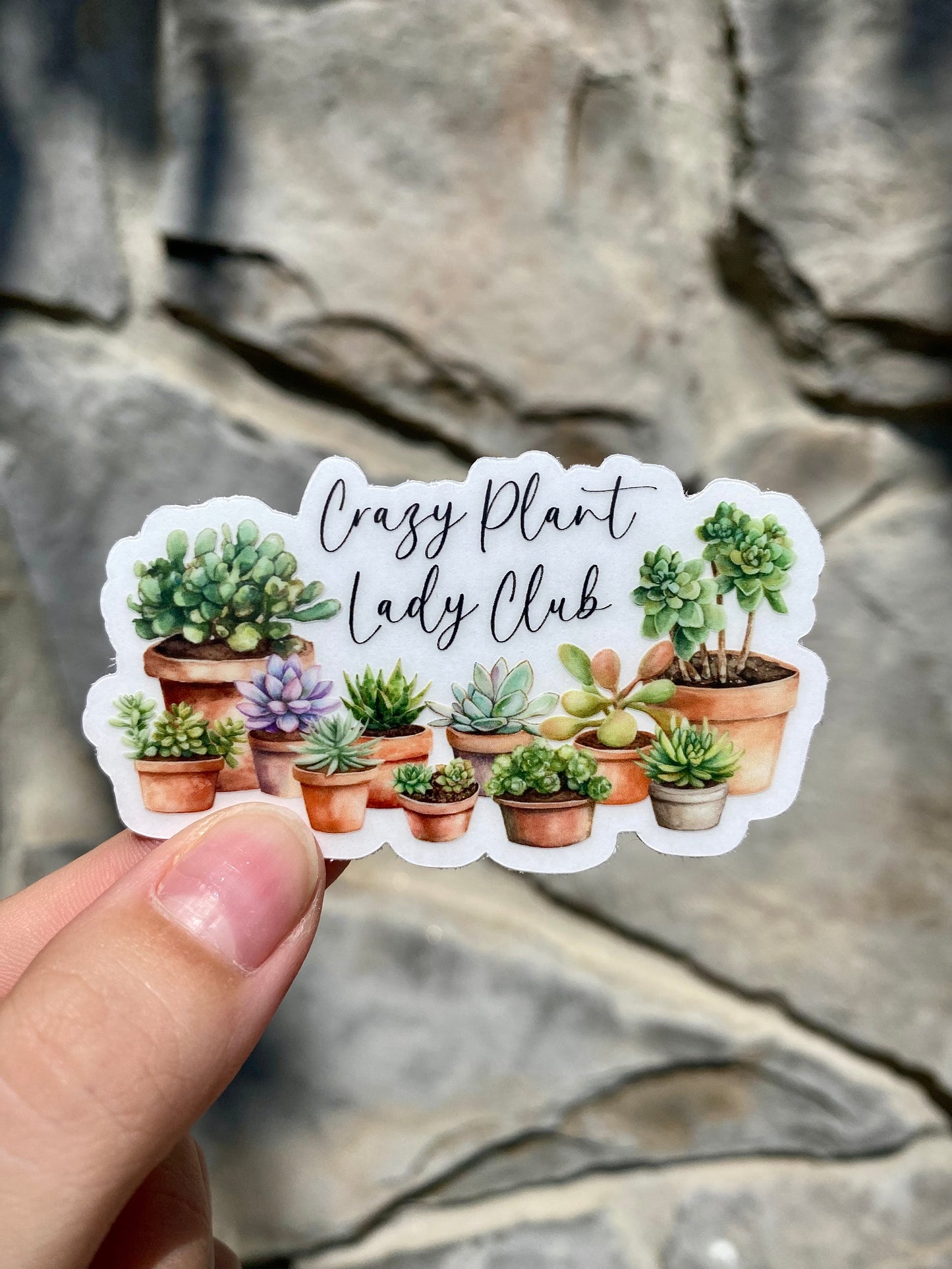 Clear "Crazy Plant Lady Club" Sticker, 3x1.7in