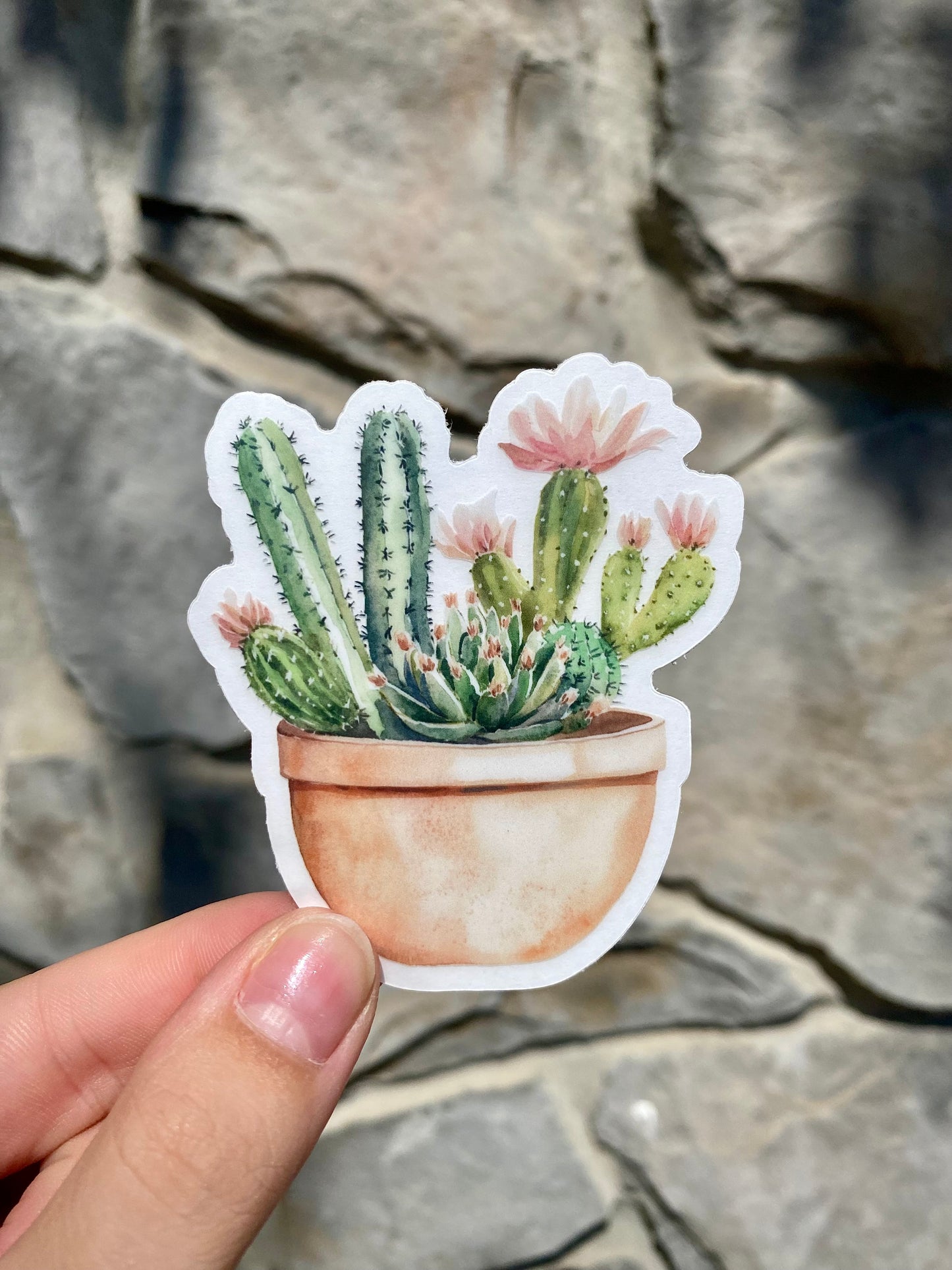 Clear Cactus Sticker, 2.6x3in
