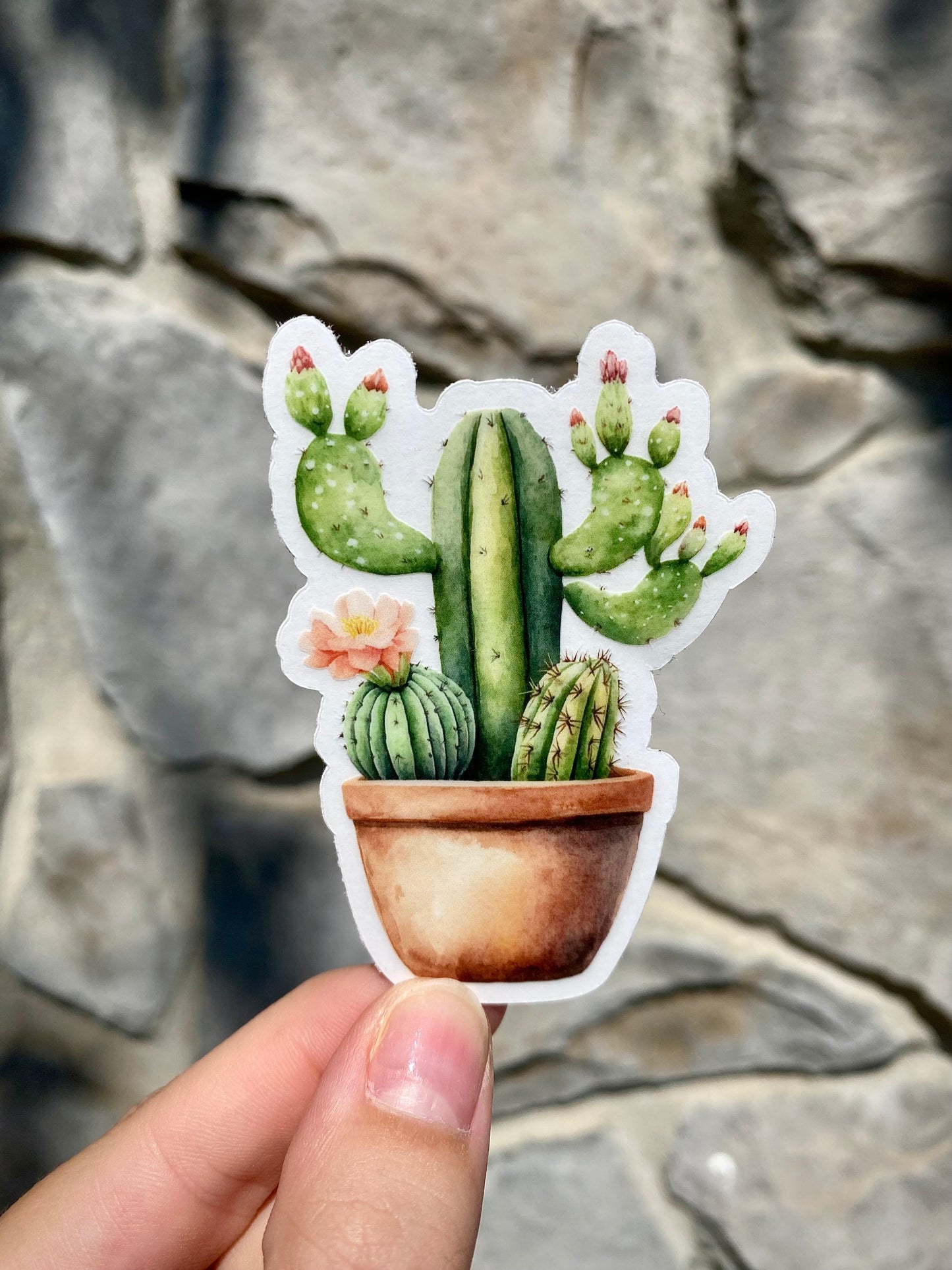 Clear Cactus Sticker, 2.1x3in