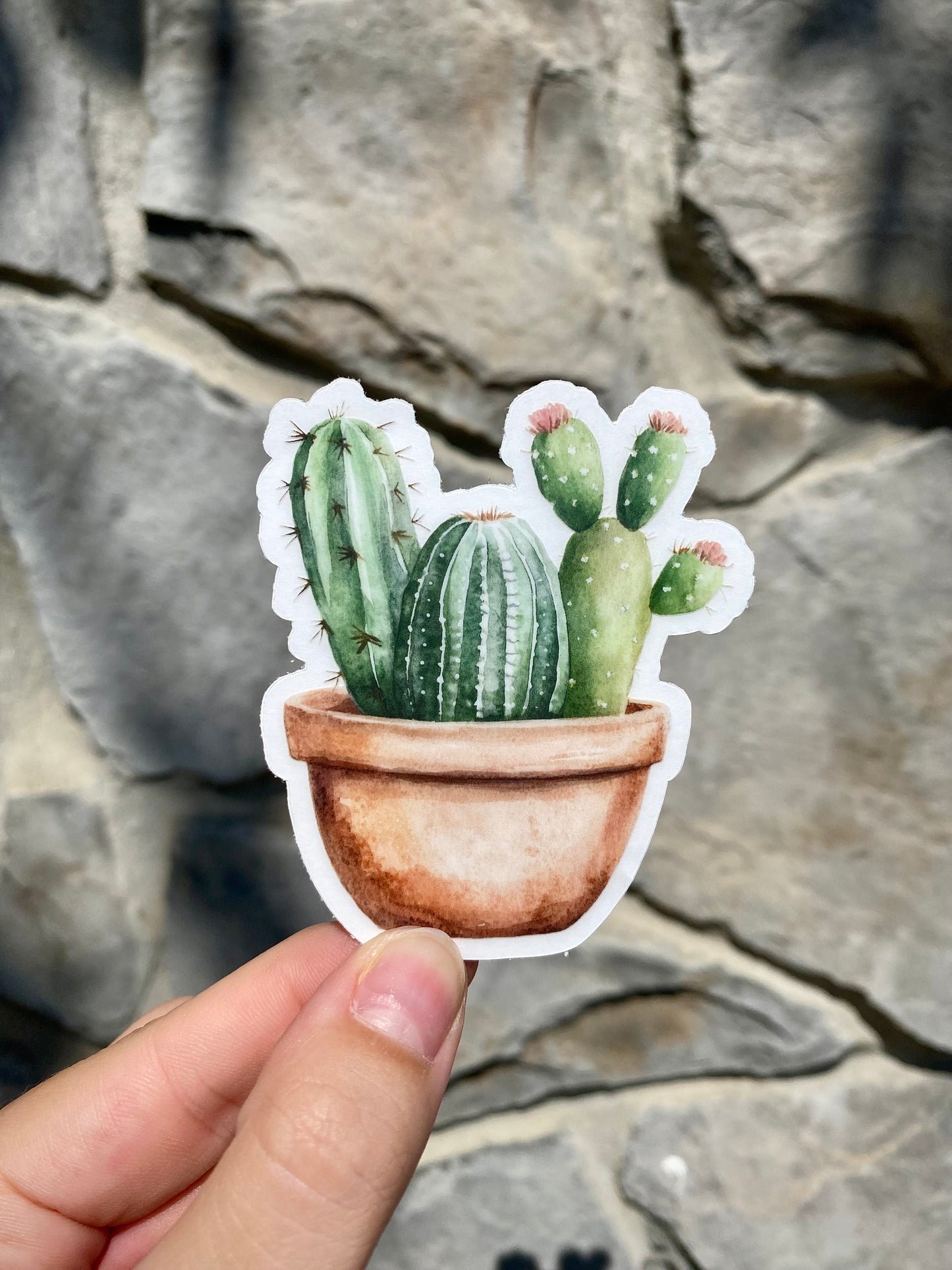 Clear Cactus Sticker, 2.6x3in