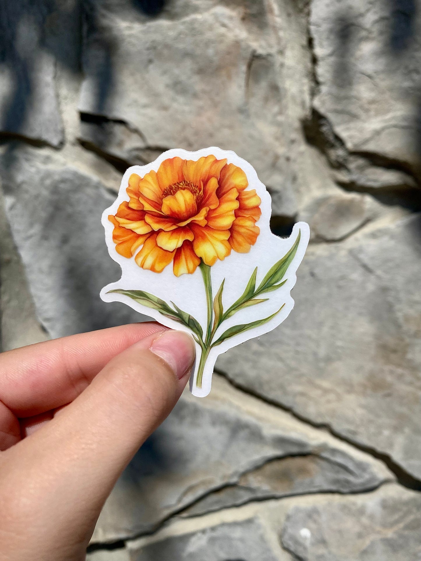 Clear Marigold Sticker, 2.5x3in