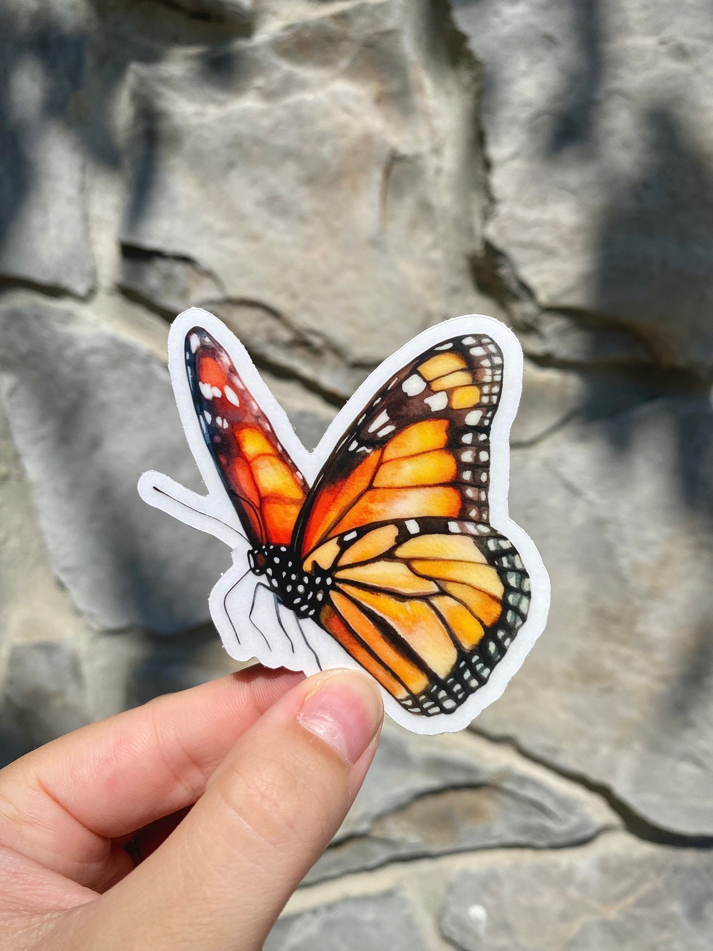 Clear Monarch Butterfly Sticker (Profile), 3x2.9in