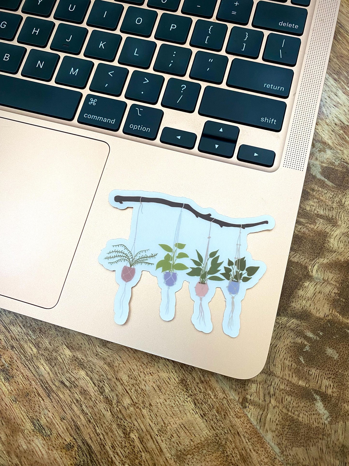 Clear Hanging Plants Sticker (Branch), 3x2.4in