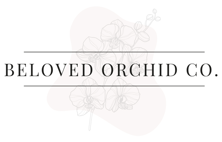 Logo of Beloved Orchid Co. with floral design on a white background